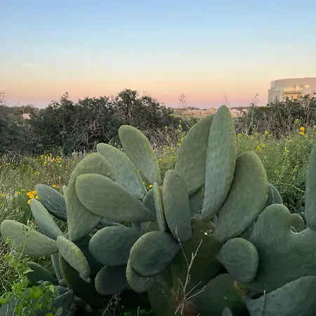 Authentic Maltese Boutique With Rooftop Pool - Moon Townhouse בית נופש *